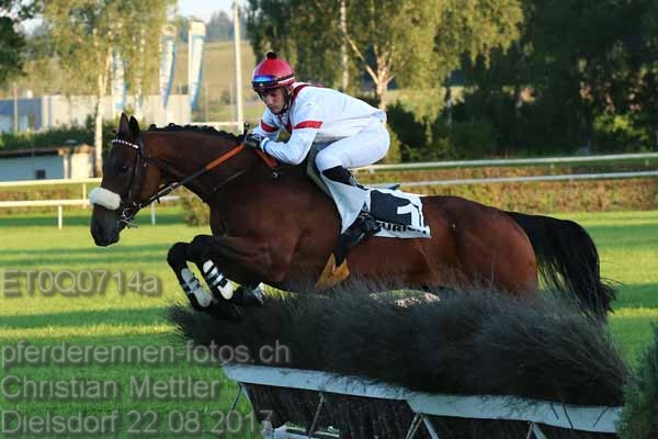 ET0Q0714a prot